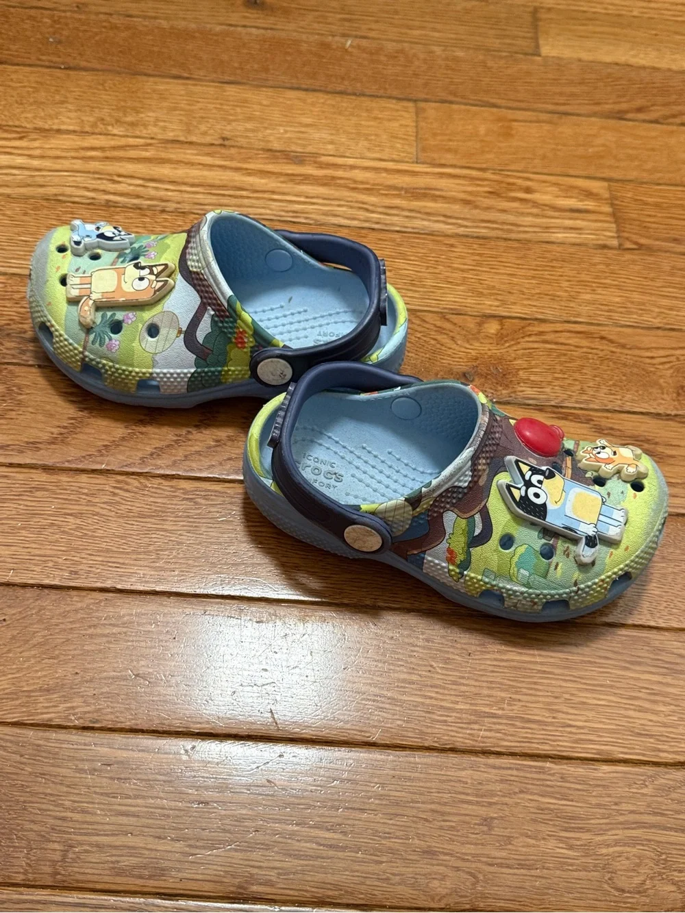 Bluey Cartoon Slip-On Clogs crocs C9